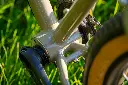 Gryphon_steel_ebb.webp