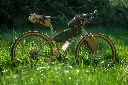 Steel_gravel_bikepacking.webp
