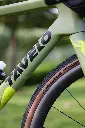 WILD Green_06.webp