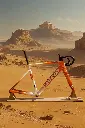 Alpha Dune 0910_01.webp