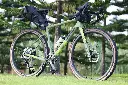 WILD Green_04.webp