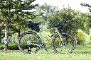 WILD Green_01.webp
